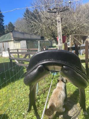 Selle monoquartier forestier boeckelo 17