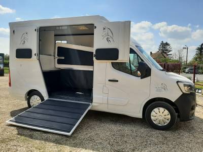 Renault master - transport chevaux