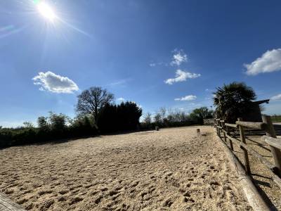 Domaine équestre sur 3 ha