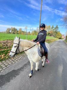 Poney 1,30m a vendre pour famille 5 etoiles 
