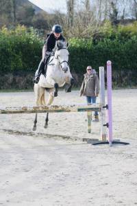 Jument  de 7ans, 164cm à vendre