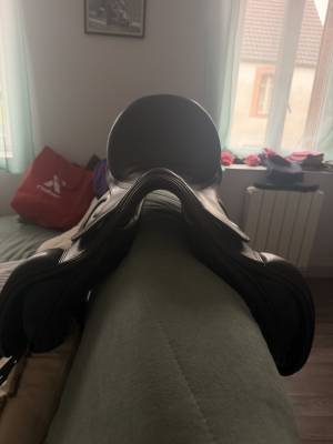 Sella da dressage prestige italia  17.5