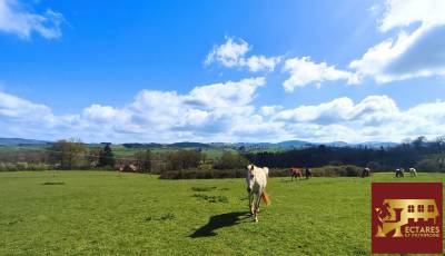 Propri&eacute;t&eacute; &eacute;questre 6,5 hectares attenants