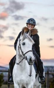 Ruin Franse rijpony PFS Te koop 2016 Schimmel ,  QUABAR DES MONCEAUX