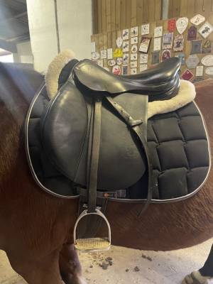 Selle forestier taille 17