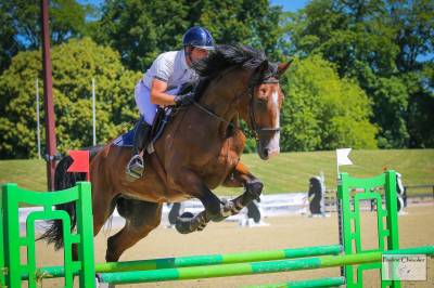 Caballo castrado silla francés en venta 2018 bayo por jo de la barde