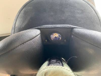 Selle dressage wintec isabell werth cair 18