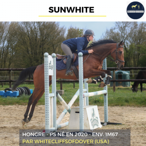 Sunwhite - ps - 6 ans 