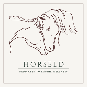 Horseld - bien-être du binôme cheval-cavalier
