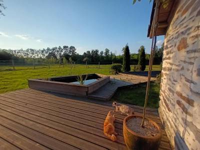 Propriété équestre avec gîte et infrastructures 