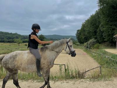 Merrie Franse rijpony PFS Te koop 2018 Schimmel