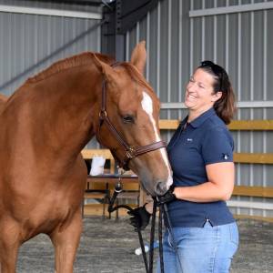 Enseignante - administratif équestre (suisse)