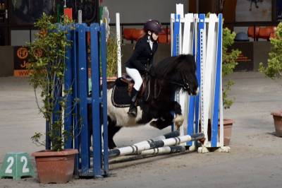 Ruin Shetland Te koop 2022 Bont ,  Igloo dela Merletiere