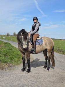 Cheval espagnol randonnée