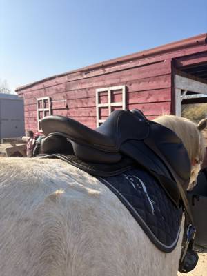 Sella mista rebelle  18