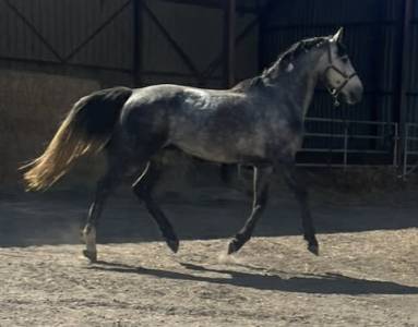 Male 4 ans catchar mail x casano