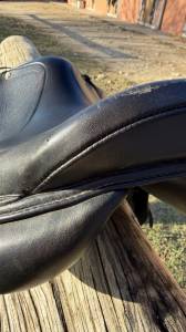 Sella mista   17.5