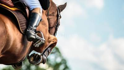 Splendide domaine de 5 hectares en bord de mer