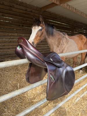 Sella da salto ostacoli amerigo  17.5