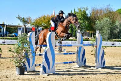 Cavallo da sella italiano. cavalla, 8 anni