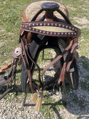 Sella western pool's  15.5