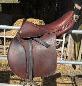 Sella da salto ostacoli   17