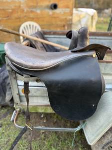 Sella amazzone   18