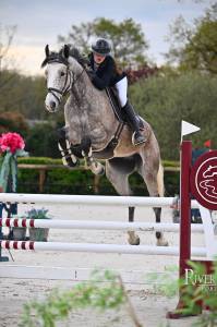 Castrone origine non conosciuta  in vendita 2019 altro colore ,  cyrhus paradise, sfa