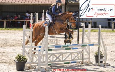 Reprise centre équestre - cession de fonds/location