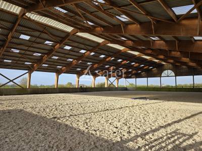 Haras chevaux de sport - centre de reproduction - élevage et va