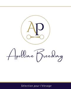 Soeur de 8 vainqueurs et 2 black type