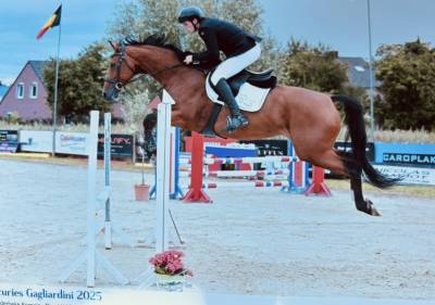 Superbe jument 9 ans 