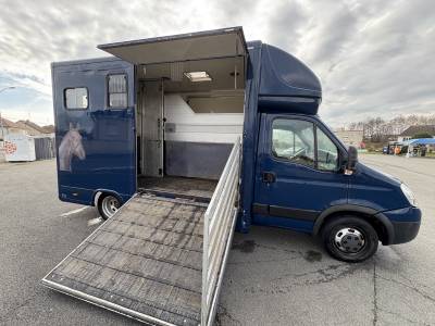 Van per cavalli iveco  2009 occasione
