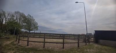 Plek vrij op unieke paddock paradise met 24/7 buiten