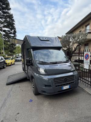Can trasporto cavalli ducato