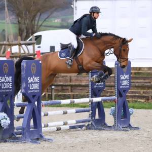 Sf 5 ans – top origines cornet x kannan – prospect gran