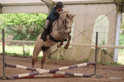 Ruin Connemara Te koop 2022 Schimmel