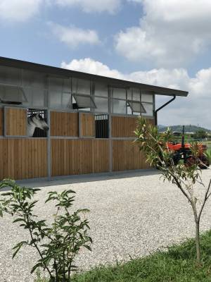 Pensione cavalli - fide e mezzefide