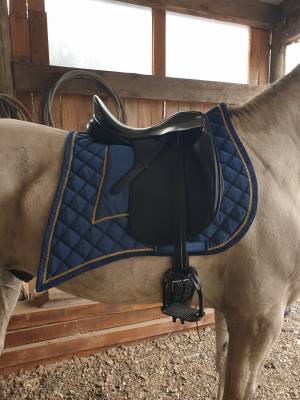 Selle de dressage zaldi new kent - 16,5