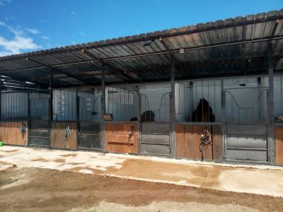 Centro ecuestre pasos de plata 