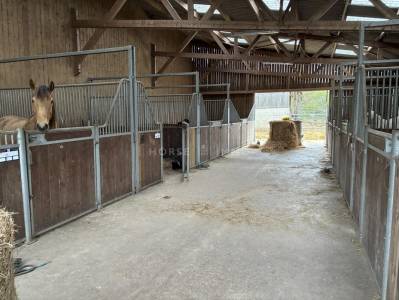 Centro ecuestre en venta morbihan