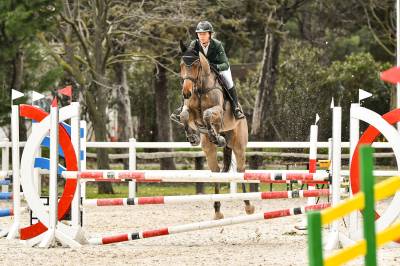 Castrado 6 años 173cm