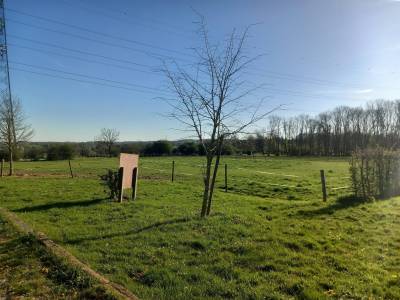 Pension pour chevaux ( 2 boxes libres). 