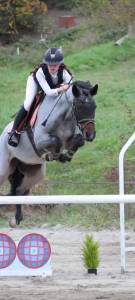 Ruin Connemara Te koop 2020 Bruinroan