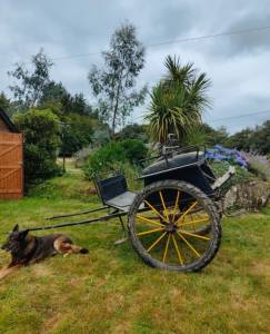 Coche enganches - Dog-cart - Otra marca - Type dog-cart 