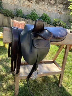 Sella amazzone  bp swain - side saddle  17.5