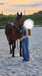 Demi pension villers le bouillet (fize-fontaine)