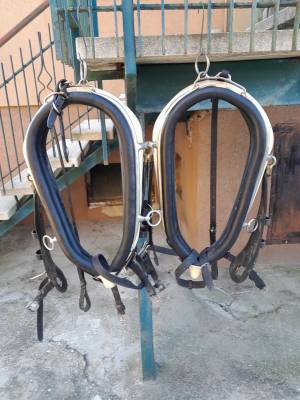 Finimenti carrozza completi in cuoio nero &ndash; misura COB 