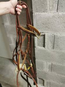 Bridon brun avec r&ecirc;nes et mors