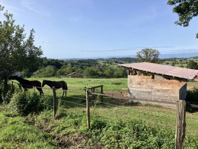 Azienda equestre in vendita rhône
